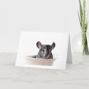 Carte Cute Teacup Chinchilla Grey