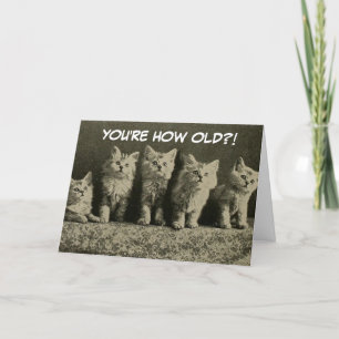 Carte Cute Vintage Rétro Kittens Joyeux Anniversaire