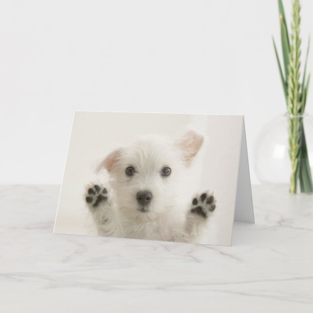 Carte Cute Westie Puppy (Devant)