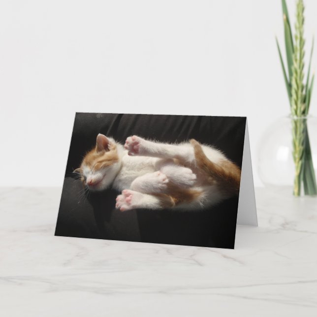 Carte Cuteness Kitten (Devant)