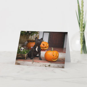 Carte Cutest Baby Animals   French Bulldog Halloween