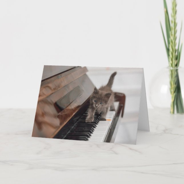 Carte Cutest Baby Animals | Kitten on Piano (Devant)