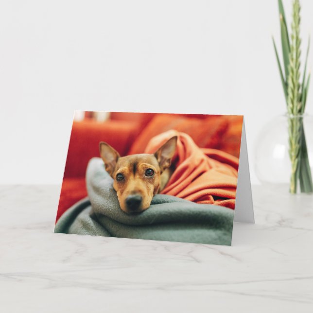 Carte Cutest Baby Animals | Miniature Pinscher (Devant)