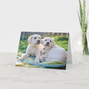 Carte Cutest Baby Animals Yellow Labrador Retrievers