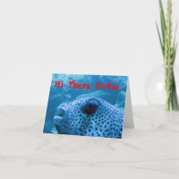Carte Cutie Fish Note
