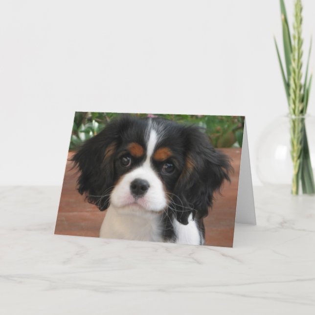 Carte Cutie Pie (Devant)