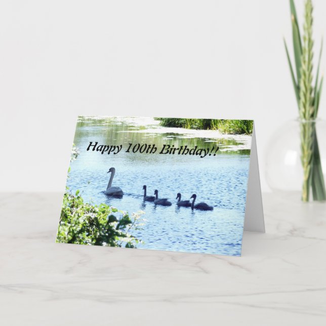 Carte Cygne avec cygneaux sur la rivière (Devant)