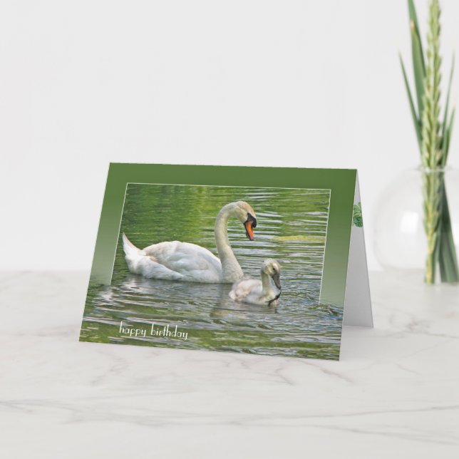 Carte cygne d'anniversaire avec cygnet dans l'étang (Devant)