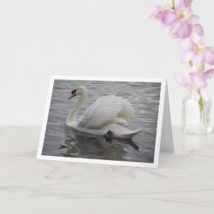Carte Cygne glissant sur un lac