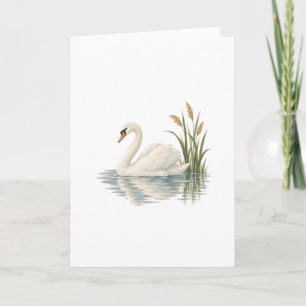 Carte Cygne parmi les roseaux de l'étang
