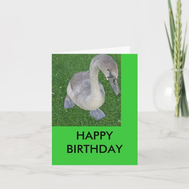 Carte cygnets sur terre, JOYEUX ANNIVERSAIRE (Devant)