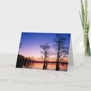 Carte Cyprès Bald Arbres Réserve nationale de faune, T