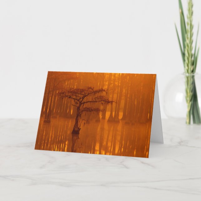 Carte Cypress Trees | Parc d'état George Smith (Devant)