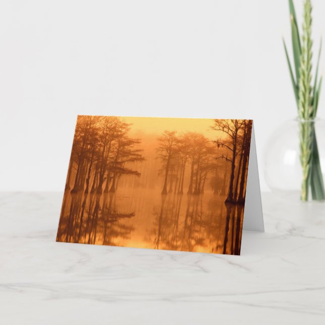 Carte Cypress Trees Parc d'état George Smith (Devant)