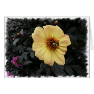 Carte d'abeille de marguerite