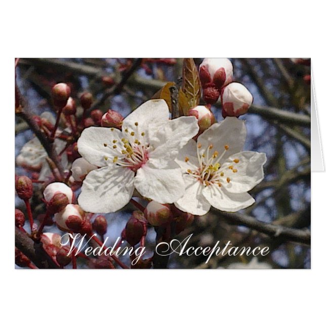 Carte d'acceptation Mariage Cherry Blossom (Devant horizontal)