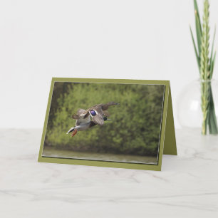 Carte d'accolade des canards