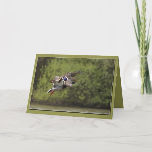 Carte d'accolade des canards (Devant)