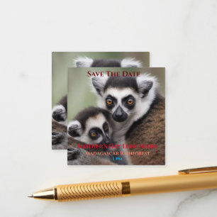 Carte D'accompagnement **"Amour de la mère : Mummy and Baby Lemur Cuddlin