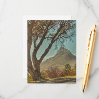 Cap Lion's Head Landscape Afrique du Sud