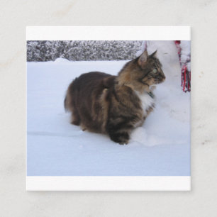 Carte D'accompagnement chat des forêts norvégiennes dans la neige