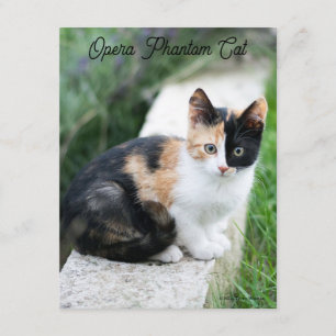 Carte D'accompagnement Chat Fantôme de l'Opéra