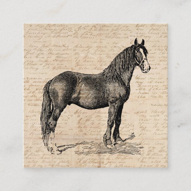Carte D'accompagnement Cheval avec papier de script (Devant)