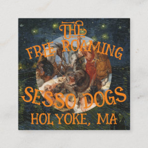 CARTE D'ACCOMPAGNEMENT CHIENS SESSO EN LIBRE PARCOURS HOLYOKEMA MASSACHUS