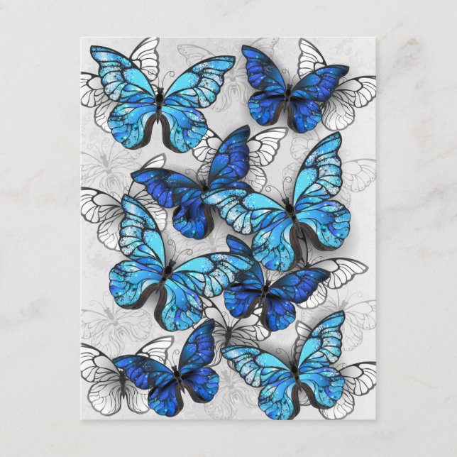 Carte D'accompagnement Composition des White and Blue Butterflies (Devant)