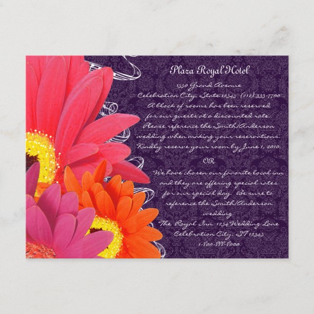 Carte D'accompagnement Eggplant Gerber (Devant)