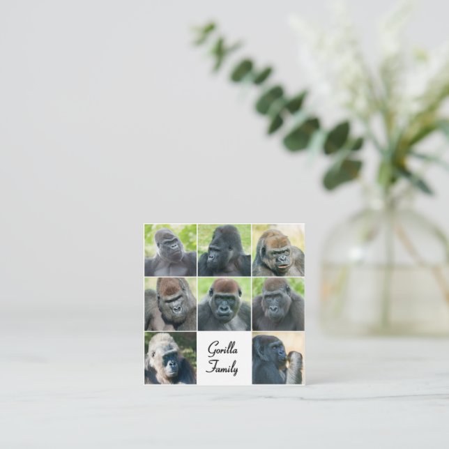 Carte D'accompagnement Famille Gorilla (Debout devant)