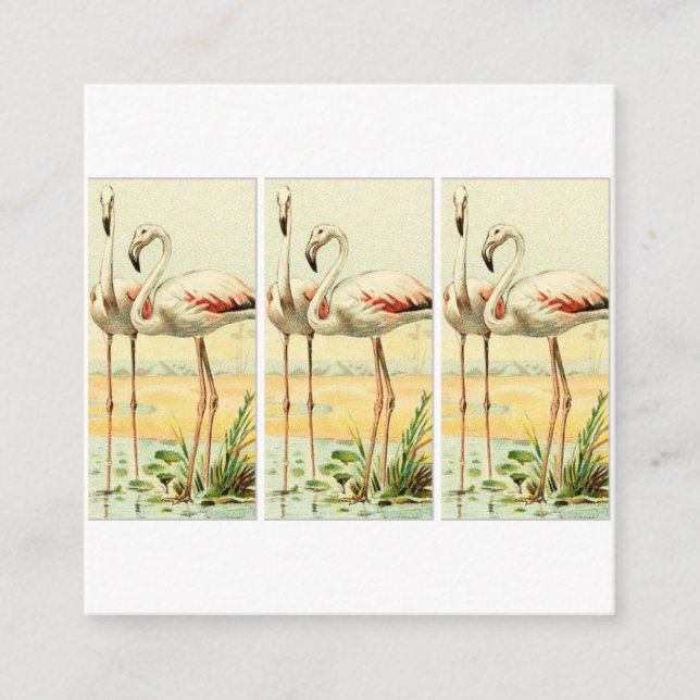Carte D'accompagnement Flamant Rose Vintage (Devant)