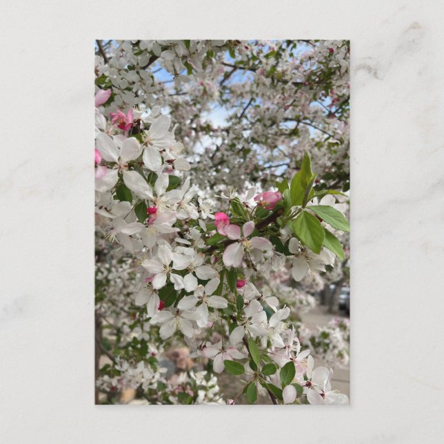 Carte D'accompagnement Fleur de printemps (Devant)
