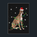 Carte D'accompagnement greyhound christmas light cute santa greyhound<br><div class="desc">greyhound christmas light cute santa greyhound</div>
