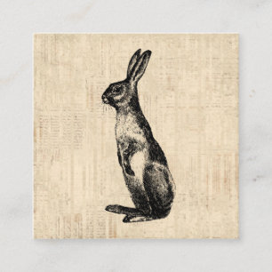 Carte D'accompagnement Illustration de lapin Vintage vieux lapin