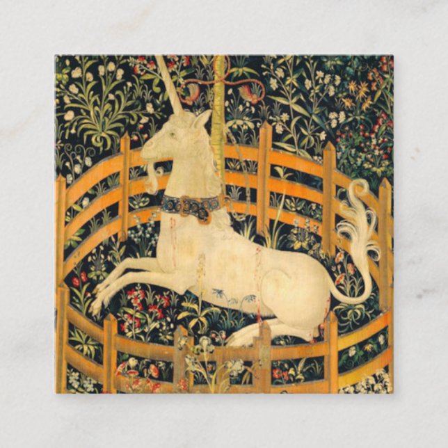 Carte D'accompagnement La licorne en captivité (Devant)