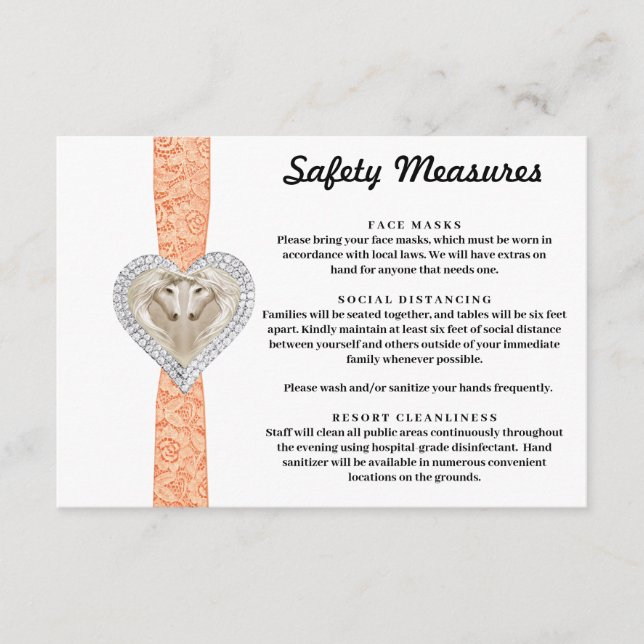 Carte D'accompagnement Mesures de sécurité de la dentelle orange licorne (Devant)