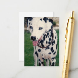 Carte D'accompagnement Mon ami pour animaux de compagnie Photo personnali