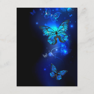 Carte D'accompagnement Morpho Butterfly in the Dark Background