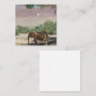 Carte D'accompagnement Namibie Afrique Huab River Elephant Damaraland