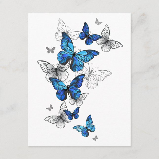 Carte D'accompagnement Papillons volants bleus Morpho (Devant)