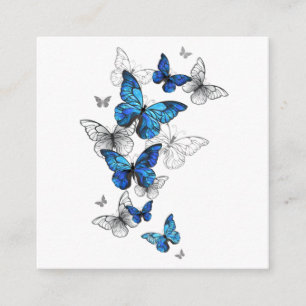Carte D'accompagnement Papillons volants bleus Morpho
