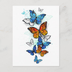 Carte D'accompagnement Papillons volants Morpho et Monarch