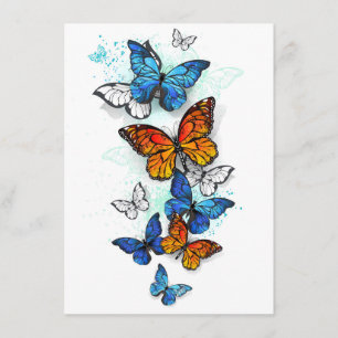 Carte D'accompagnement Papillons volants Morpho et Monarch