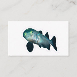 Carte D'accompagnement Rare poisson Barreleye de mer tête transparente St