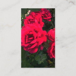 Carte D'accompagnement Rosery romantique roux