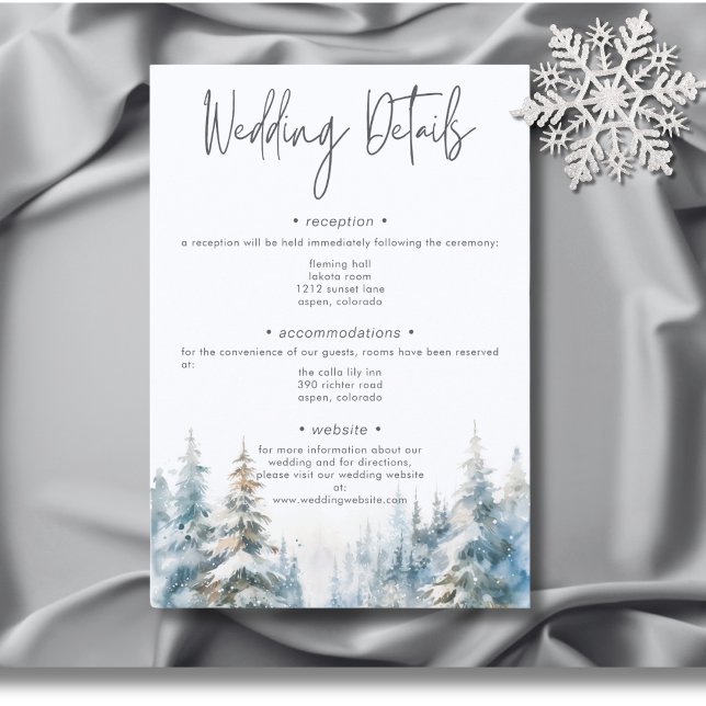 Carte D'accompagnement Rustic Mountain Winter Scene Détails Aquarelle (Rustic Mountain Winter Scene Watercolor Wedding Details Enclosure Card)