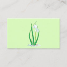 Snowdrops (Galanthus nivalis) Fleurs du début du p