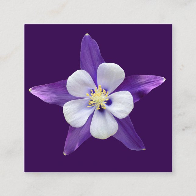 Carte D'accompagnement Toutes les petites cartes-cadeaux pour Carrés (Devant)