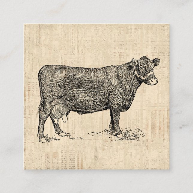 Carte D'accompagnement Vache de campagne illustrée (Devant)